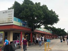 -大湾区中央湿地公园-十九涌