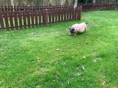 -静之湖湖畔餐厅