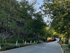 -广州白江湖森林公园