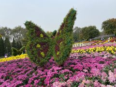-沈阳植物园