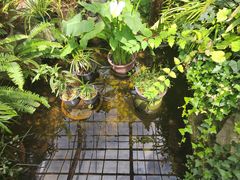 -国家植物园南园