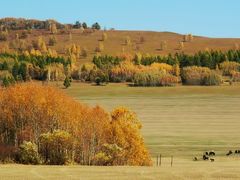 -麦当劳(北京昌金路得来速餐厅店)
