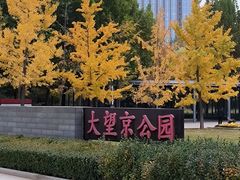 -大望京公园