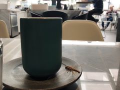 创新美式-UNI UNI(环亚凯瑟琳店)