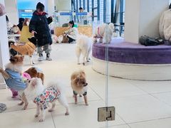 -怪兽屋·羊驼·猫咖·狗咖(俊华广场店)