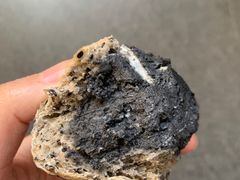 -熊叔熊婶面包房(团结湖店)