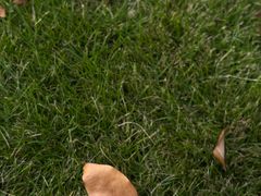 -南京奥林匹克体育中心-体育馆