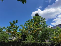 -厦门市儿童医院