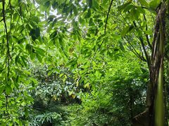 -腾冲洞山温泉村