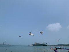 -海驴岛(荣成市)