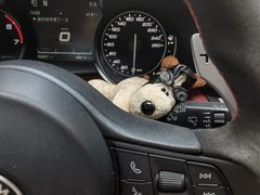 -上海保利玛莎拉蒂和阿尔法罗密欧(华翔路店)