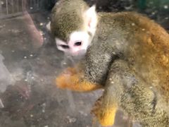 -西安秦岭野生动物园