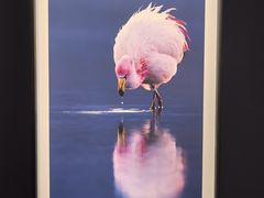 -罗红摄影艺术馆