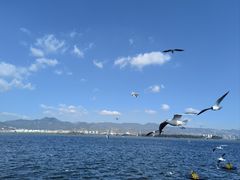 -海埂大坝