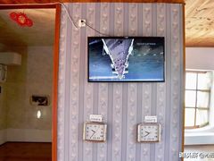 -金山农民画村-枫泾波兰倒置屋