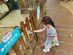 -杭州千岛湖开元度假村