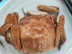 -蟹上黄·蟹黄面·江南糖水(人民广场店)