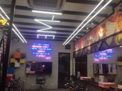 -SALON V