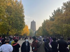 -玲珑塔公园