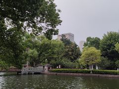 -月湖公园