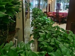 -胶东人家(奥体中心店)