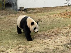 -杭州野生动物世界