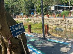 -大尖山公园