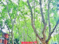 -南京邮电大学(仙林校区)