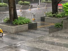 -瑞派中心宠物医院·CT·核磁·神经专科