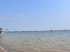 -碧海金沙
