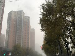 -麦德龙(京顺路商场店)