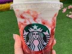 -星巴克(天津新燕莎奥特莱斯店)