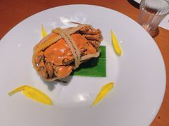 -觀芷隐轩