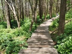 -白草畔自然风景区