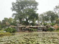 -东莞植物园