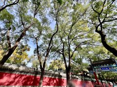 -北京国子监胡同