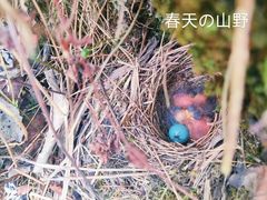 -贵阳市花溪国家城市湿地公园