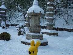 -少华山国家森林公园