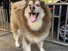 -香港鸳鸯王(西湖路店)