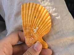 -大连双兴商品城