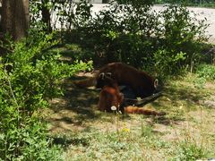 -鄂尔多斯野生动物园