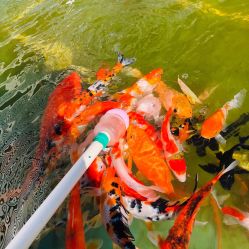 -萌宠亲子动物乐园(槐房万达店)