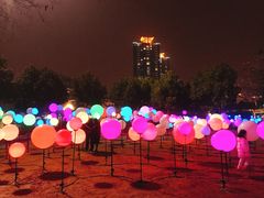 -锦江乐园舞狸花花游园会(夜场专享)