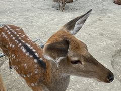 -水上乐园·欢乐世界