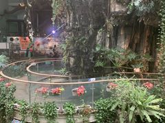 -正佳雨林生态植物园
