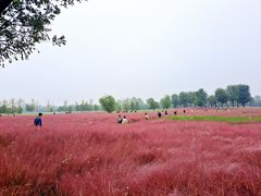 -汉长安城未央宫国家考古遗址公园