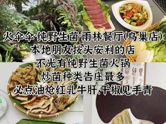 -西双版纳原始森林公园
