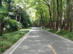-采石矶景区