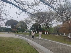 -石湖景区