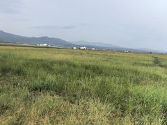 -敕勒川草原